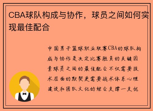 CBA球队构成与协作，球员之间如何实现最佳配合