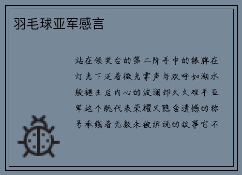 羽毛球亚军感言